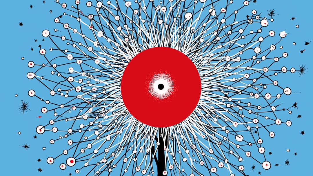 Audit für strukturierte Daten: So optimierst du dein Schema-Markup