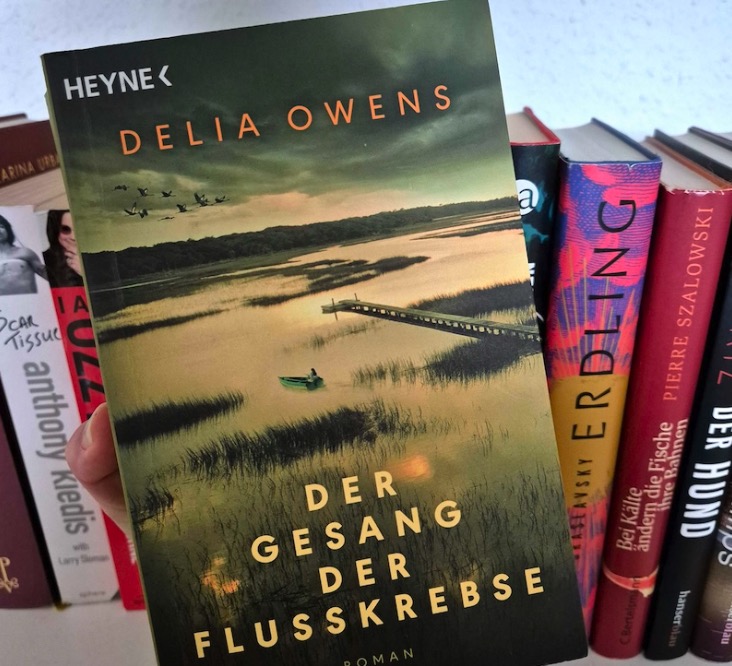 lauras_buechersammlung Lauras Büchersammlung