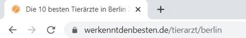 Dieser Screenshot zeigt, wo der Title Tag im Browser dargestellt wird.