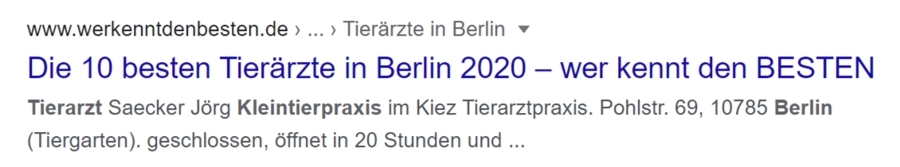 Dieser Screenshot zeigt ein typisches Google-Suchergebnis.